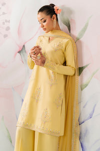 Naqshi | Festive Eid 26 | Pariya by Naqshi - Designer Dress  - Type : Ladies Clothes - Available at Libayah - 100% Original 