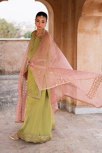 Naqshi | Tabeer Festive Dresses | Zaraan - by Libayah - Registered Vendor of : Naqshi - 100% Original Designer Dress