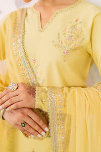 Naqshi | Festive Eid 26 | Pariya by Naqshi - Designer Dress  - Type : Ladies Clothes - Available at Libayah - 100% Original 