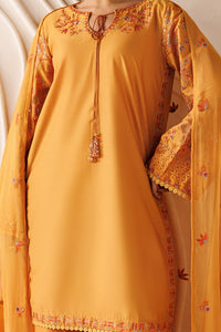 Naqshi | Festive Eid 26 | Lunara by Naqshi - Designer Dress  - Type : Ladies Clothes - Available at Libayah - 100% Original 
