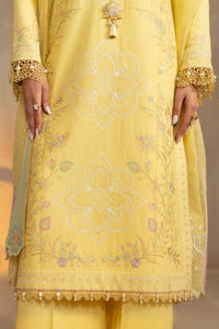Naqshi | Festive Eid 26 | Sheiza by Naqshi - Designer Dress  - Type : Ladies Clothes - Available at Libayah - 100% Original 