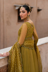 Naqshi | Tabeer Festive Dresses | Lehr - by Libayah - Registered Vendor of : Naqshi - 100% Original Designer Dress