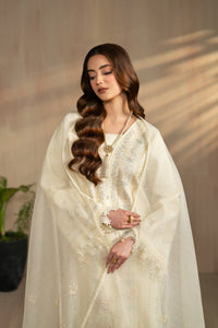 Naqshi | Festive Eid 26 | Ashnoor by Naqshi - Designer Dress  - Type : Ladies Clothes - Available at Libayah - 100% Original 