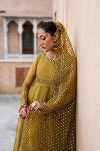 Naqshi | Tabeer Festive Dresses | Lehr - by Libayah - Registered Vendor of : Naqshi - 100% Original Designer Dress