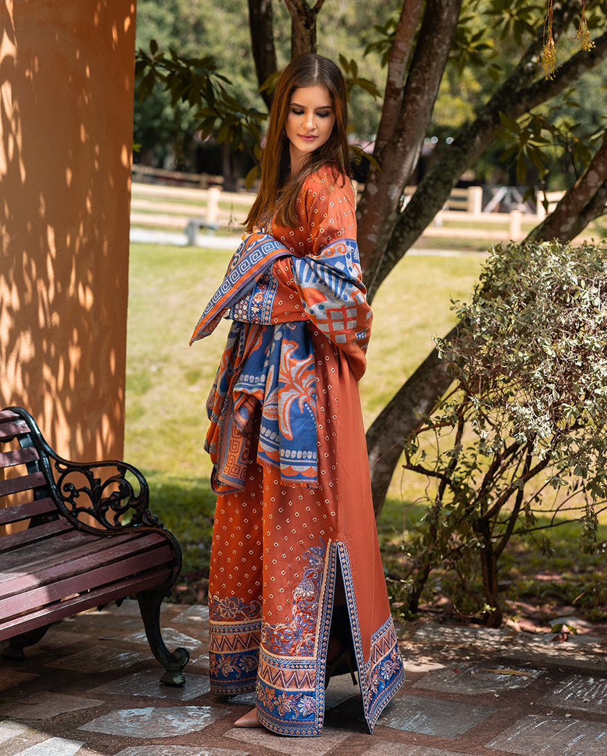 Whispers of Change – authentic Pakistani dress from the Mushq Winter Broadway 25 collection for women in the UK.