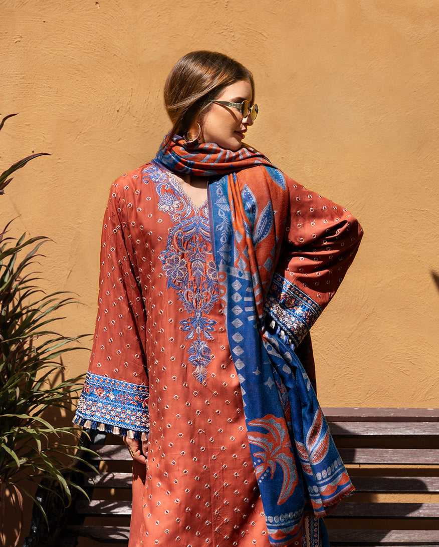 Whispers of Change – authentic Pakistani dress from the Mushq Winter Broadway 25 collection for women in the UK.