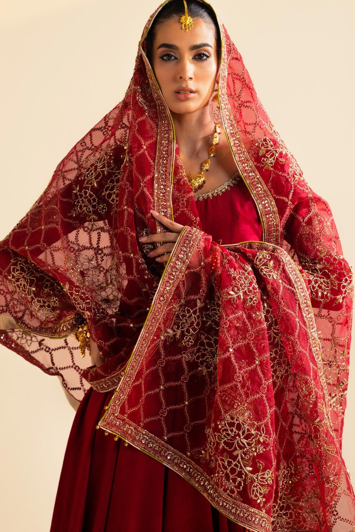 Zara Shahjahan | Wedding Formals 2024 | ZC-3097 by Zara Shahjahan - Designer Dress - Type: Ladies Clothes - Available at Libayah - 100% Original