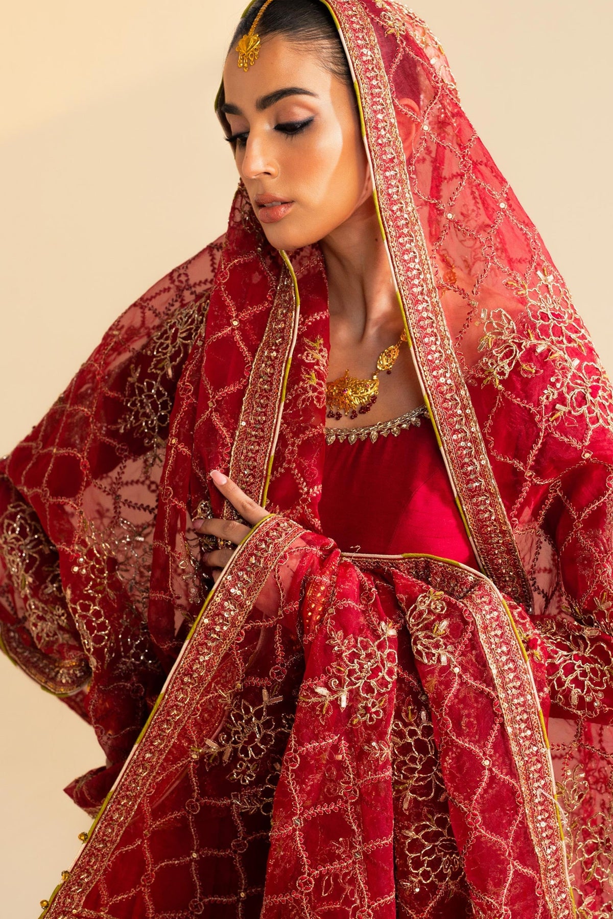 Zara Shahjahan | Wedding Formals 2024 | ZC-3097 by Zara Shahjahan - Designer Dress - Type: Ladies Clothes - Available at Libayah - 100% Original