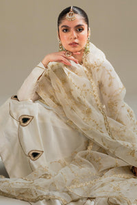 Zara Shahjahan | Wedding Formals 2024 | ZC-3099 by Zara Shahjahan - Designer Dress - Type: Ladies Clothes - Available at Libayah - 100% Original