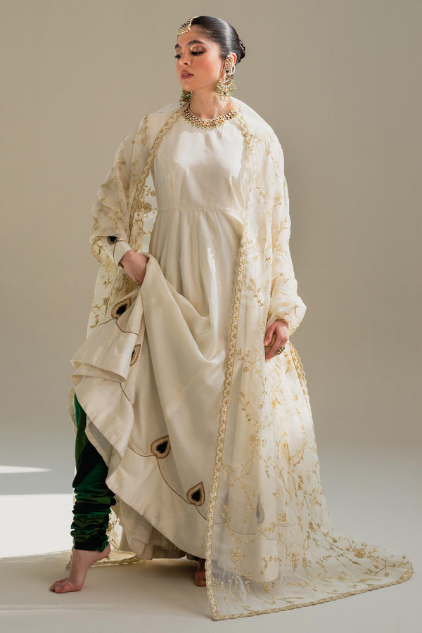 Zara Shahjahan | Wedding Formals 2024 | ZC-3099 by Zara Shahjahan - Designer Dress - Type: Ladies Clothes - Available at Libayah - 100% Original