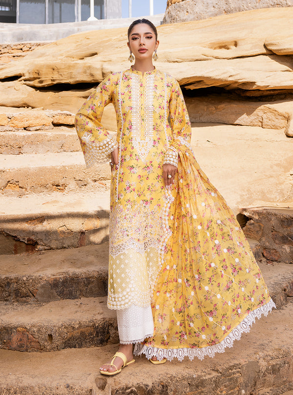 Zainab chottani | Luxury Chikankari 24 | ESME - 9B by Zainab Chottani - Designer Dress - Type: Ladies Clothes - Available at Libayah - 100% Original