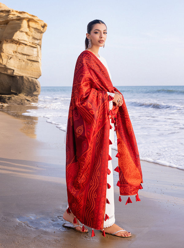 Zainab chottani | Luxury Chikankari 24 | CHUNARI - 3A by Zainab Chottani - Designer Dress - Type: Ladies Clothes - Available at Libayah - 100% Original