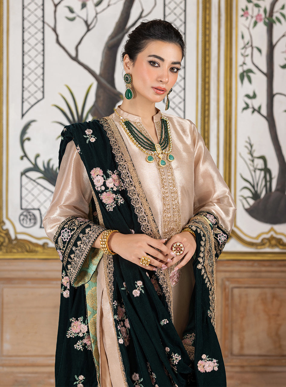 Zainab Chottani | Velvet Formals 24 | Sarwana by Zainab Chottani - Designer Dress - Type: Ladies Clothes - Available at Libayah - 100% Original
