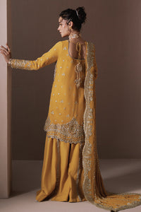 Zarposh | Jahanara Wedding Formals | Dhanak by Zarposh - Designer Dress - Type: Ladies Clothes - Available at Libayah - 100% Original