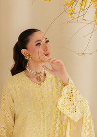 Aik Atelier | Lawn 26 | Look B2604A by Aik Atelier - Designer Dress  - Type : Ladies Clothes - Available at Libayah - 100% Original 