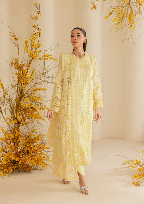 Aik Atelier | Lawn 26 | Look B2604A by Aik Atelier - Designer Dress  - Type : Ladies Clothes - Available at Libayah - 100% Original 