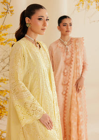 Aik Atelier | Lawn 26 | Look B2604A by Aik Atelier - Designer Dress  - Type : Ladies Clothes - Available at Libayah - 100% Original 
