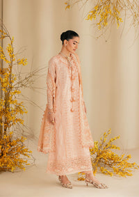 Aik Atelier | Lawn 26 | Look B2604B by Aik Atelier - Designer Dress  - Type : Ladies Clothes - Available at Libayah - 100% Original 