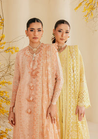 Aik Atelier | Lawn 26 | Look B2604B by Aik Atelier - Designer Dress  - Type : Ladies Clothes - Available at Libayah - 100% Original 