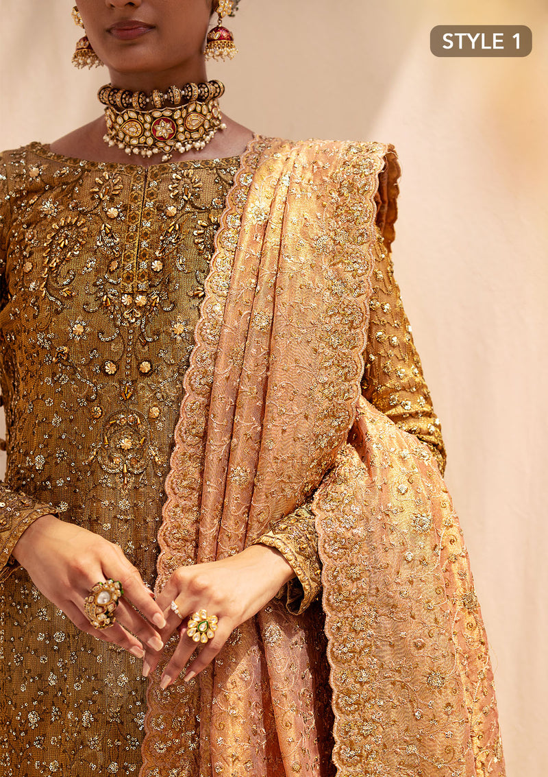 Buy Aik Atelier | Wedding Festive 24 | LOOK 02 - Designer Dress - Type: Bridal Shawl - Available at Libayah