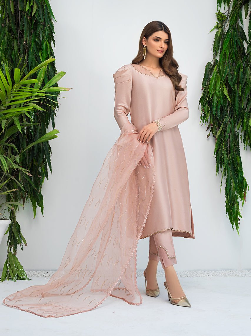 Anam Akhlaq | Festive Collection | D-09 by Anam Akhlaq - Designer Dress - Type: Ladies Clothes - Available at Libayah - 100% Original