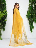Anam Akhlaq | Festive Collection | D-10 by Anam Akhlaq - Designer Dress - Type: Ladies Clothes - Available at Libayah - 100% Original