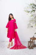 Anam Akhlaq | Festive Collection | D-16 by Anam Akhlaq - Designer Dress - Type: Ladies Clothes - Available at Libayah - 100% Original