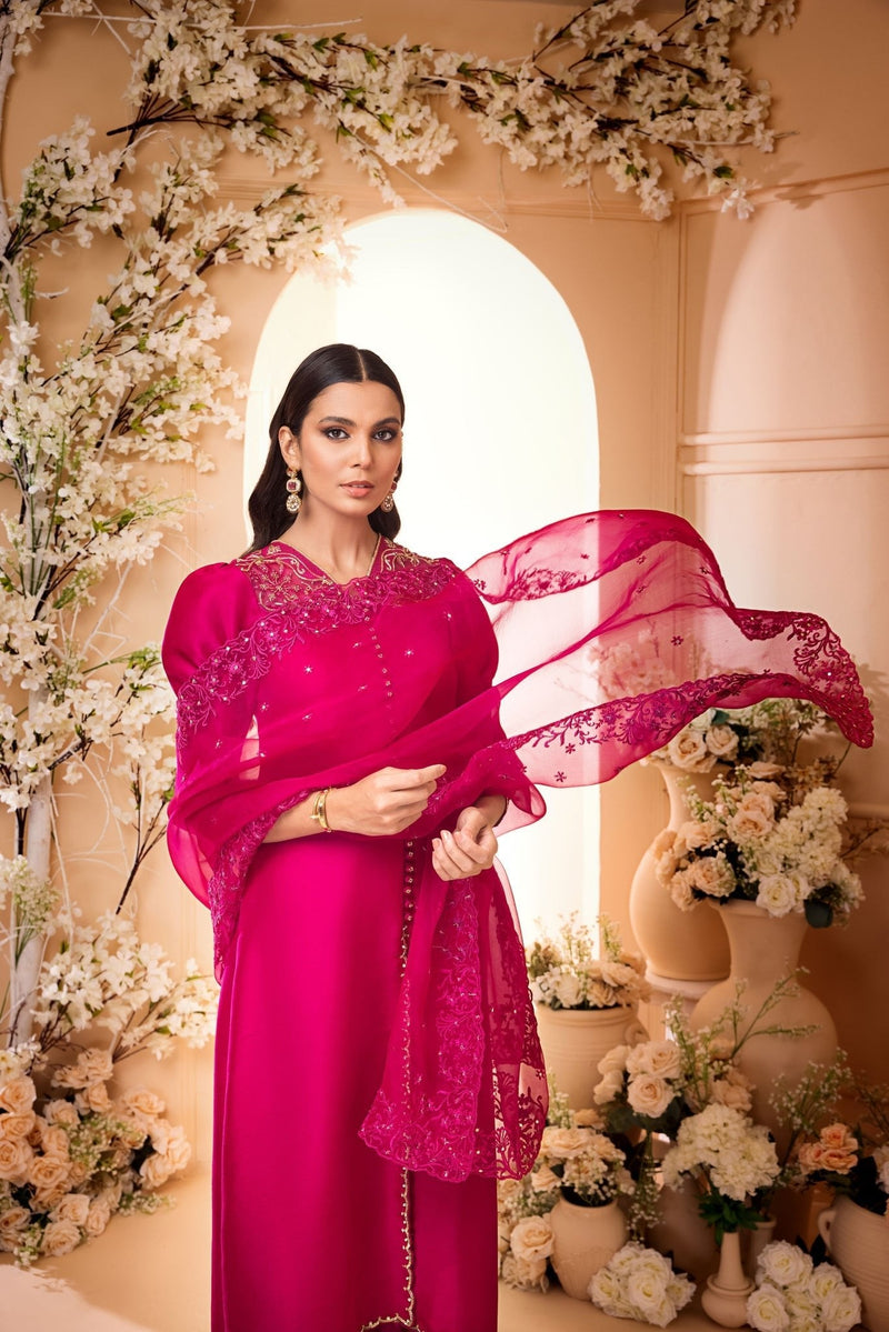 Anam Akhlaq | Festive Collection | D-31 by Anam Akhlaq - Designer Dress - Type: Ladies Clothes - Available at Libayah - 100% Original