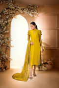 Anam Akhlaq | Festive Collection | D-34 by Anam Akhlaq - Designer Dress - Type: Ladies Clothes - Available at Libayah - 100% Original