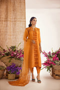 Anam Akhlaq | Festive Collection | D-39 by Anam Akhlaq - Designer Dress - Type: Ladies Clothes - Available at Libayah - 100% Original