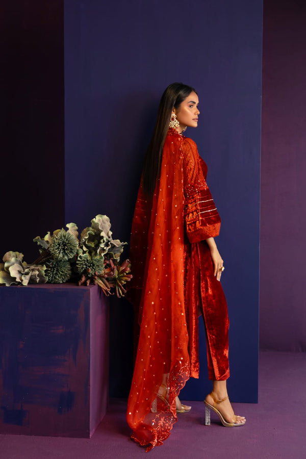 Anam Akhlaq | Festive Collection | D-41 by Anam Akhlaq - Designer Dress - Type: Ladies Clothes - Available at Libayah - 100% Original