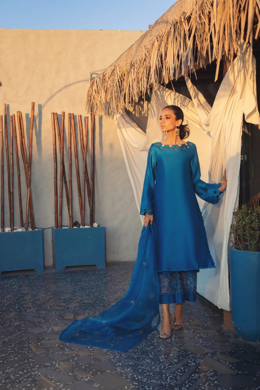 Anam Akhlaq | Festive Collection | D-50 by Anam Akhlaq - Designer Dress - Type: Ladies Clothes - Available at Libayah - 100% Original