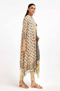 Gul Ahmed | Winter Collection 24 | Pashmina Dupatta AP-42049 by Gul Ahmed - Designer Dress - Type: Ladies Clothes - Available at Libayah - 100% Original