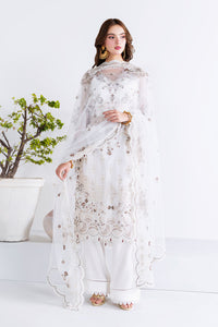 Ramsha | Arzoo Chiffon | U-205 by Ramsha - Designer Dress  - Type : Ladies Clothes - Available at Libayah - 100% Original 
