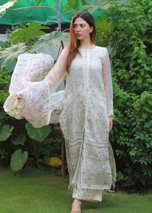 Meeral | Wedding Formals | Huns-e-Nazar by Meeral - Designer Dress - Type: Ladies Clothes - Available at Libayah - 100% Original