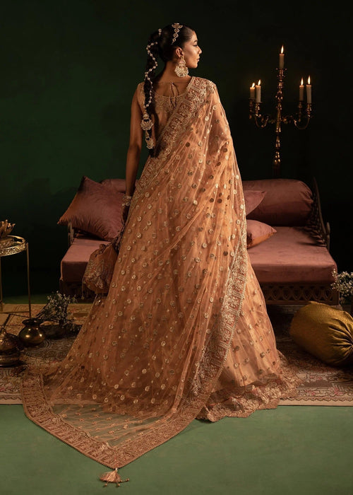 Diara Couture | Onora Wedding Festive | AYLA - WC-2-06 by Diara Couture - Designer Dress - Type: Ladies Clothes - Available at Libayah - 100% Original