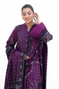 Gul Ahmed | Winter Collection 24 | Dhanak Suit DH-42008 by Gul Ahmed - Designer Dress - Type: Ladies Clothes - Available at Libayah - 100% Original