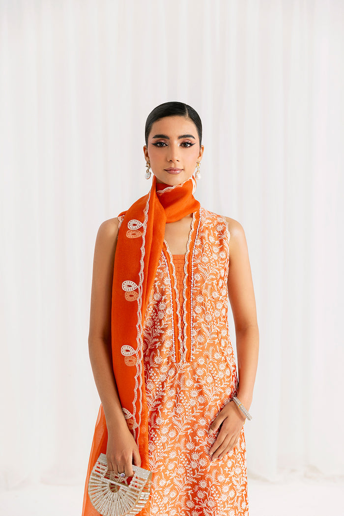 EIRA – authentic Pakistani dress from the Saira Rizwan Silk Pret 25 collection for women in the UK.