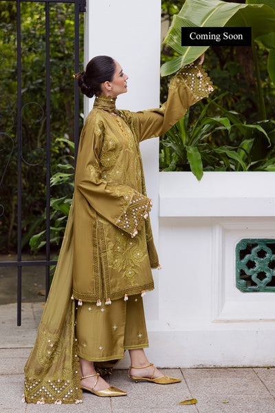 Marjjan | Lovella Winter 25 | MEV-43 A (OLIVE) by Marjjan - Designer Dress  - Type : Ladies Clothes - Available at Libayah - 100% Original 