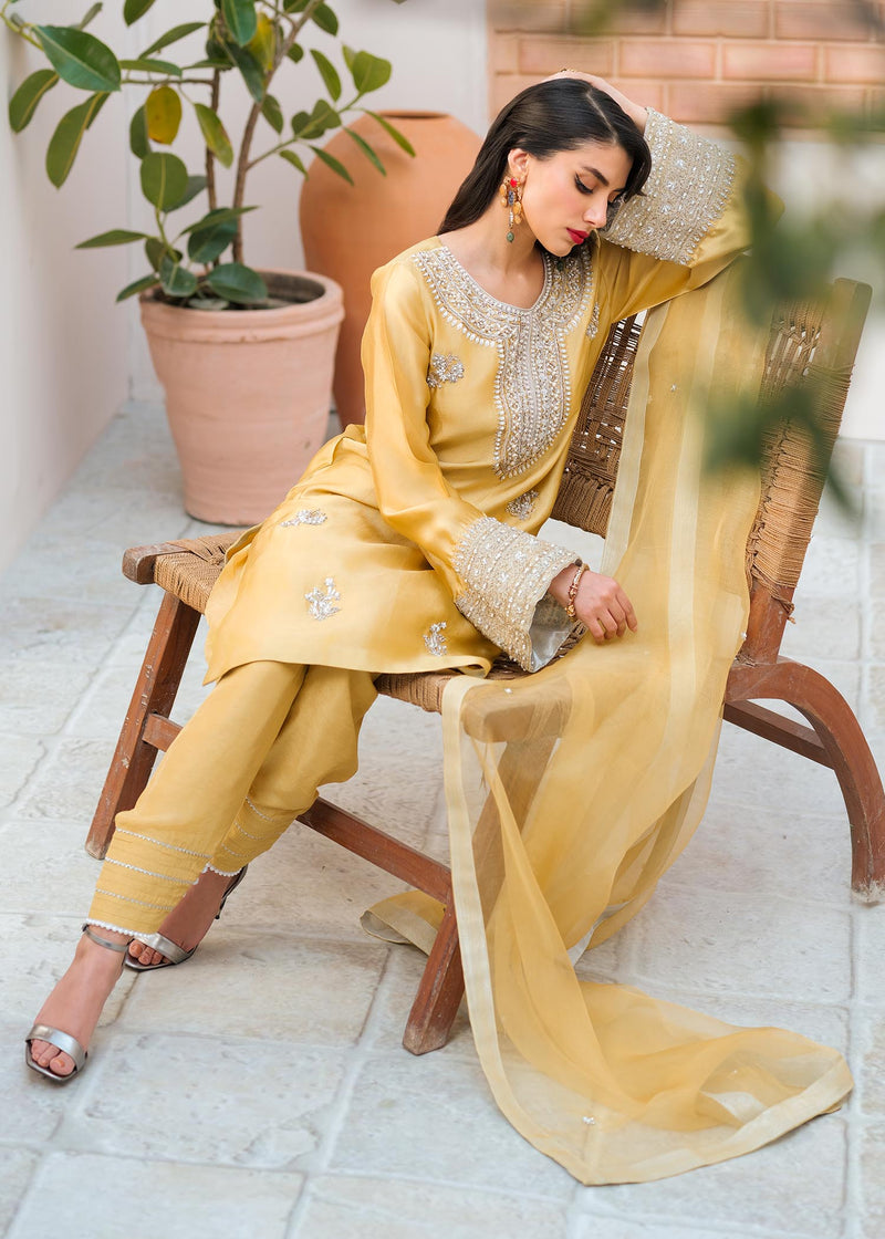 Mahum Asad | Raising The Bar | Bombshell by Mahum Asad - Designer Dress - Type: Ladies Clothes - Available at Libayah - 100% Original