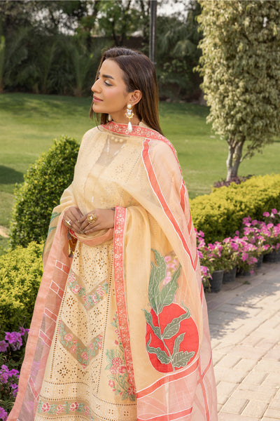 Altan | Noor e Bahar | Nilofer by Altan - Designer Dress  - Type : Ladies Clothes - Available at Libayah - 100% Original 