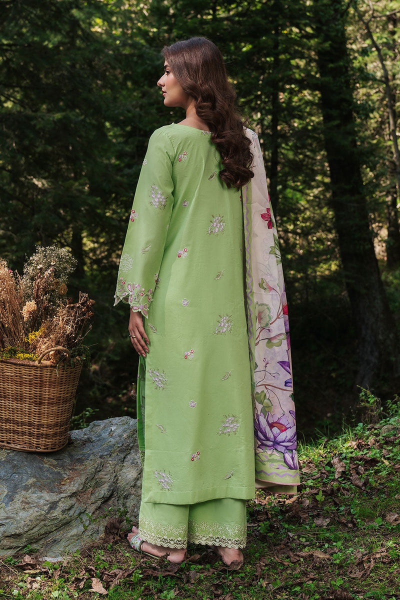 Afsanah | Silent in the Pine Tale | AL-107 - by Libayah - Registered Vendor of : Afsanah - 100% Original Designer Dress