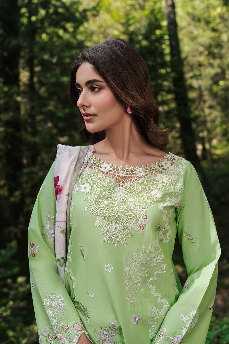 Afsanah | Silent in the Pine Tale | AL-107 - by Libayah - Registered Vendor of : Afsanah - 100% Original Designer Dress